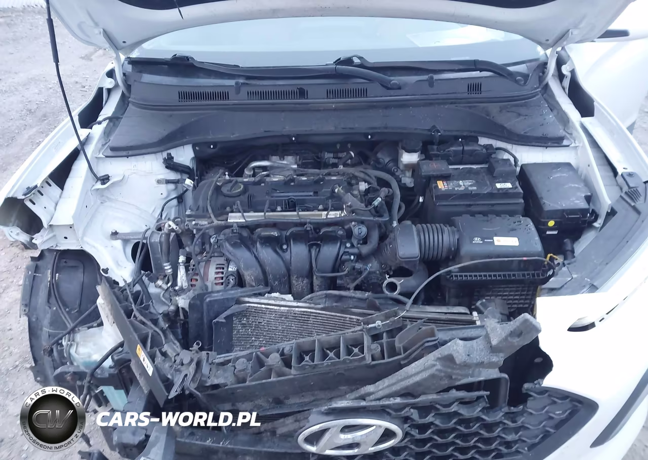2019 Hyundai Kona Se VIN:KM8K1CAA4KU301876 - 10