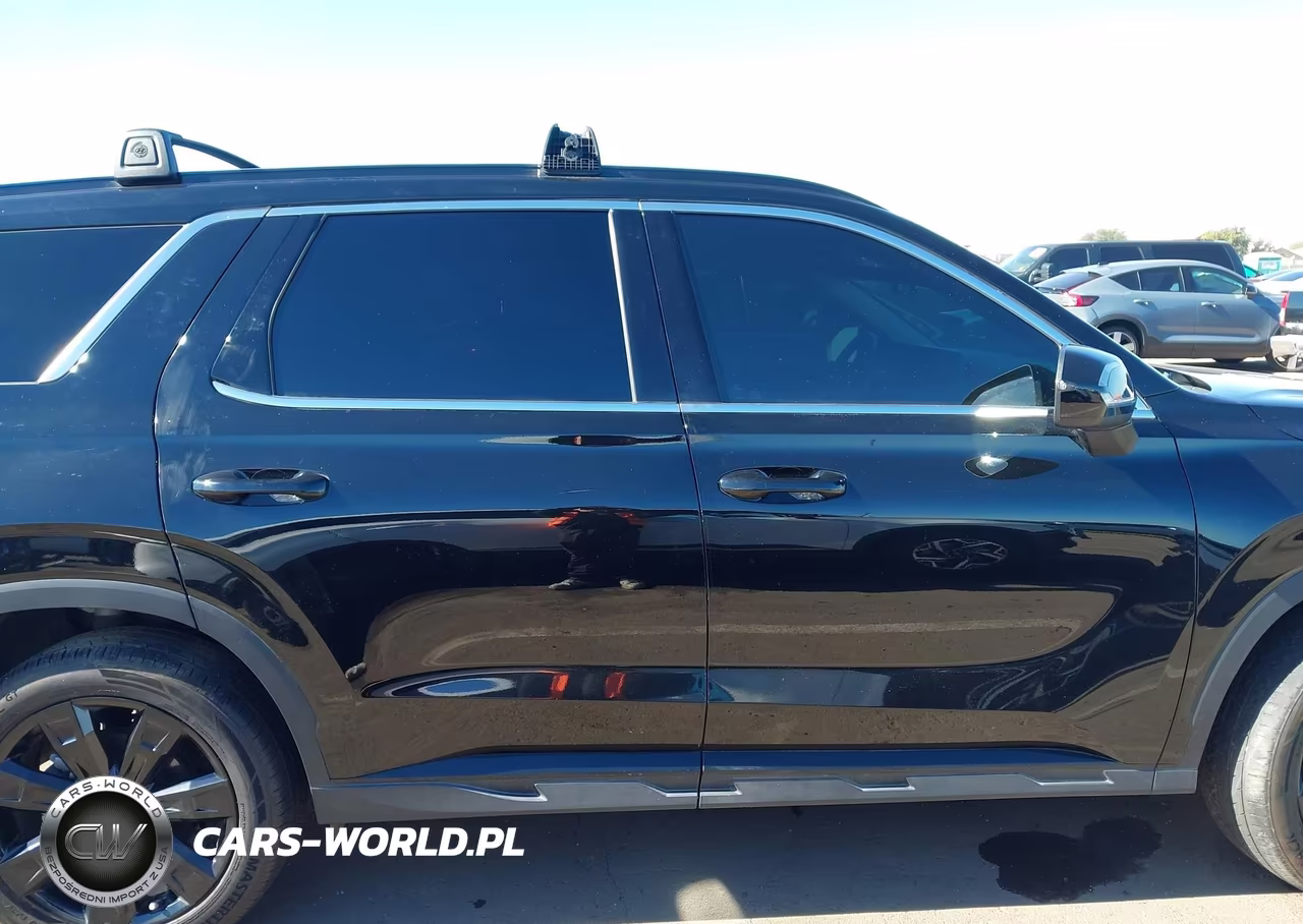 2023 Hyundai Palisade Xrt VIN:KM8R34GE4PU531840 - 13