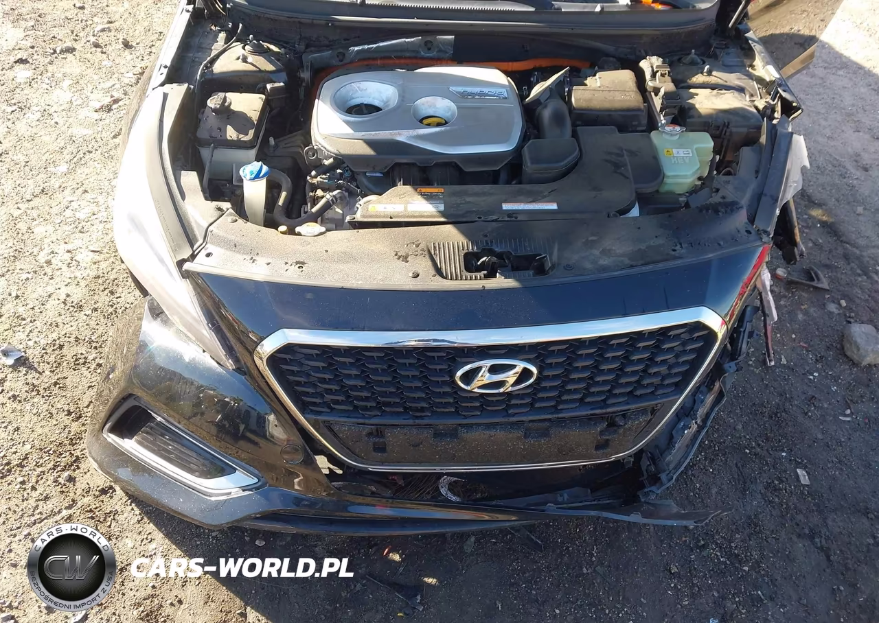2016 Hyundai Sonata Hybrid Se VIN:KMHE24L17GA018586 - 10