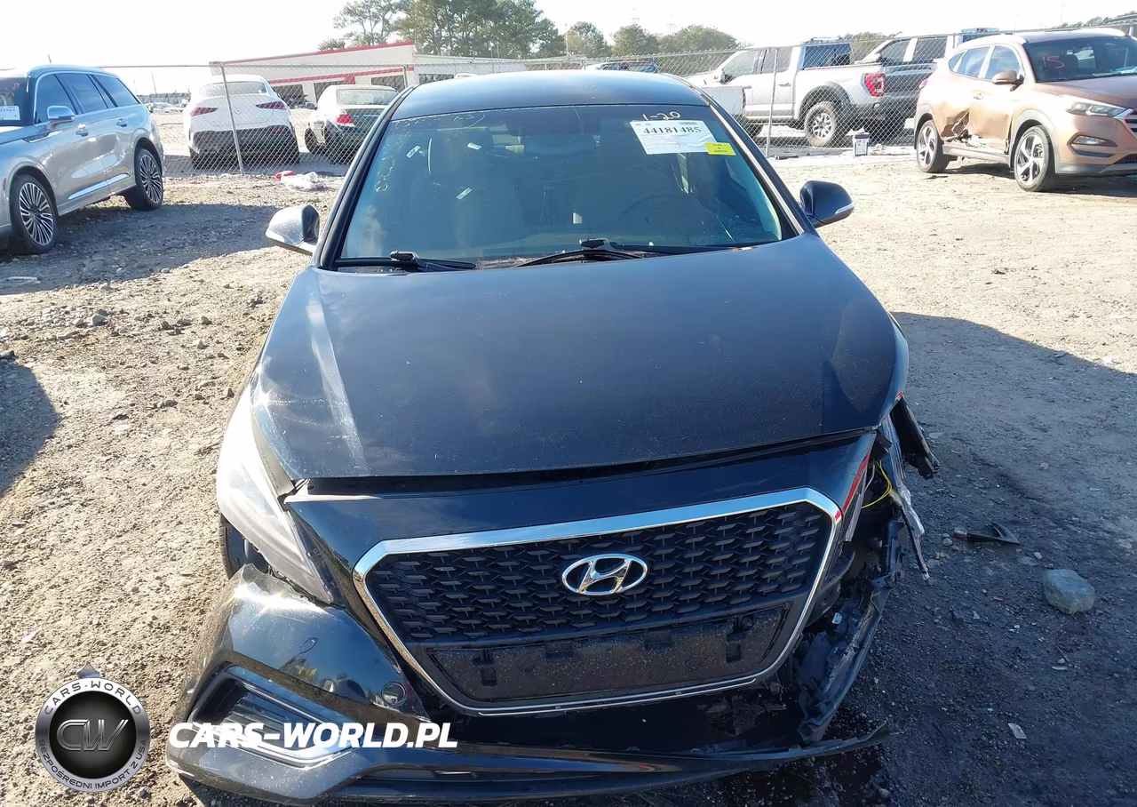 2016 Hyundai Sonata Hybrid Se VIN:KMHE24L17GA018586 - 12
