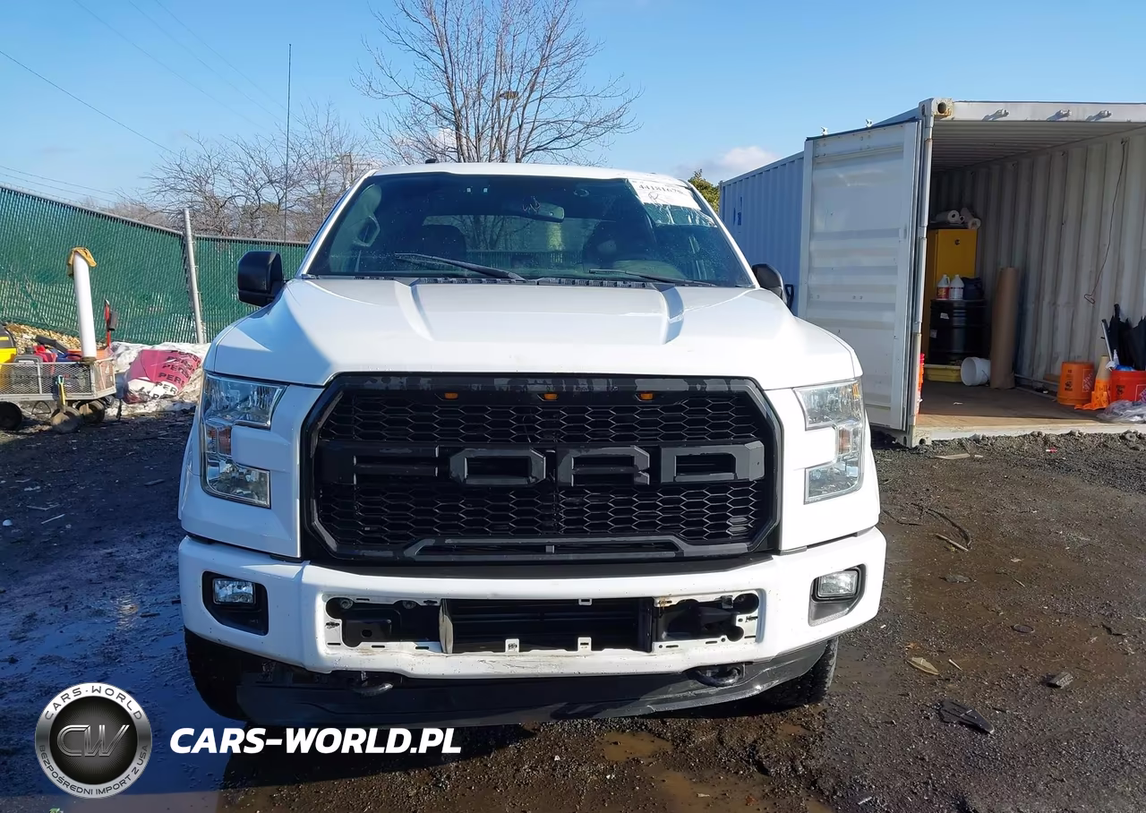 2016 Ford F-150 Xlt VIN:1FTEW1EP1GFD51300 - 12