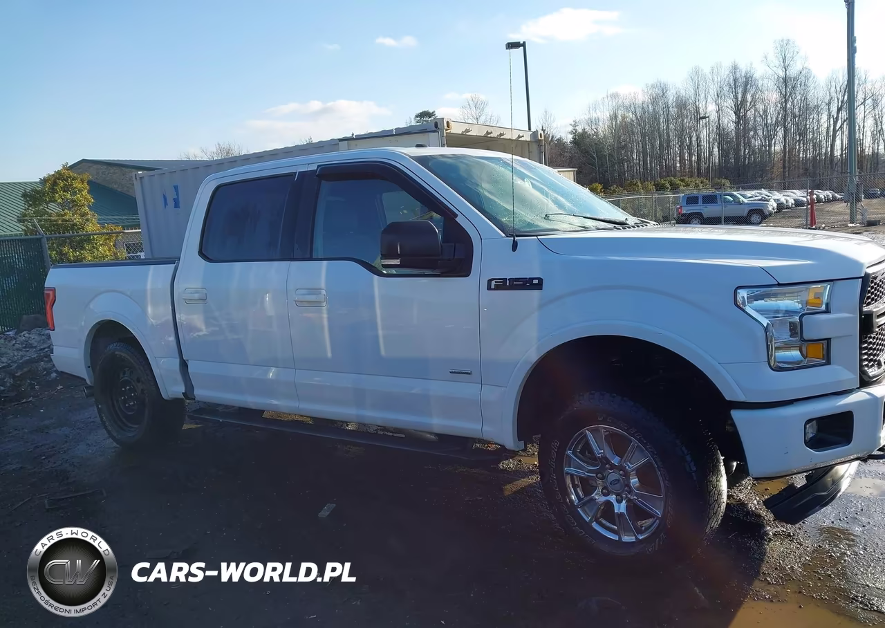 2016 Ford F-150 Xlt VIN:1FTEW1EP1GFD51300 - 13