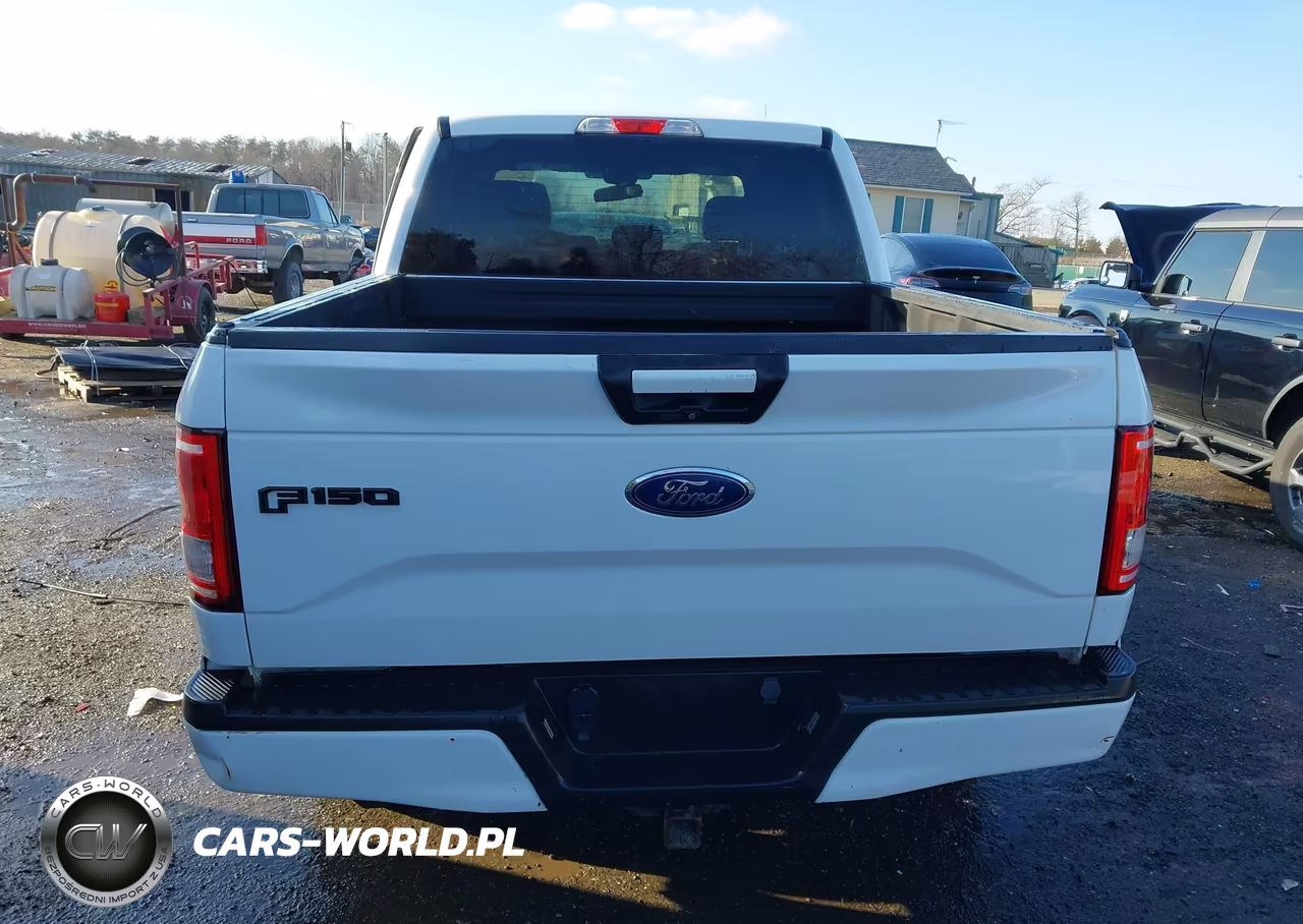 2016 Ford F-150 Xlt VIN:1FTEW1EP1GFD51300 - 16