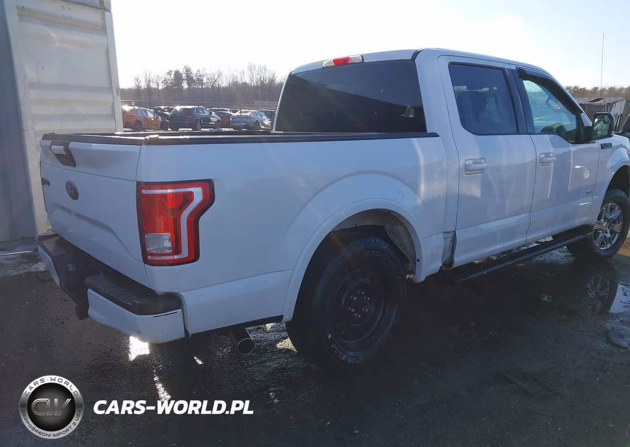 2016 Ford F-150 Xlt VIN:1FTEW1EP1GFD51300 - 4