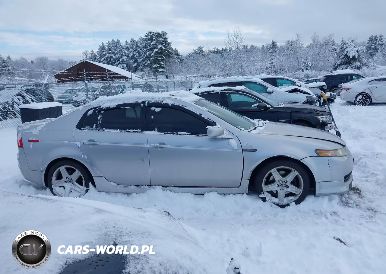 2006 Acura Tl VIN:19UUA66246A046171 - 13