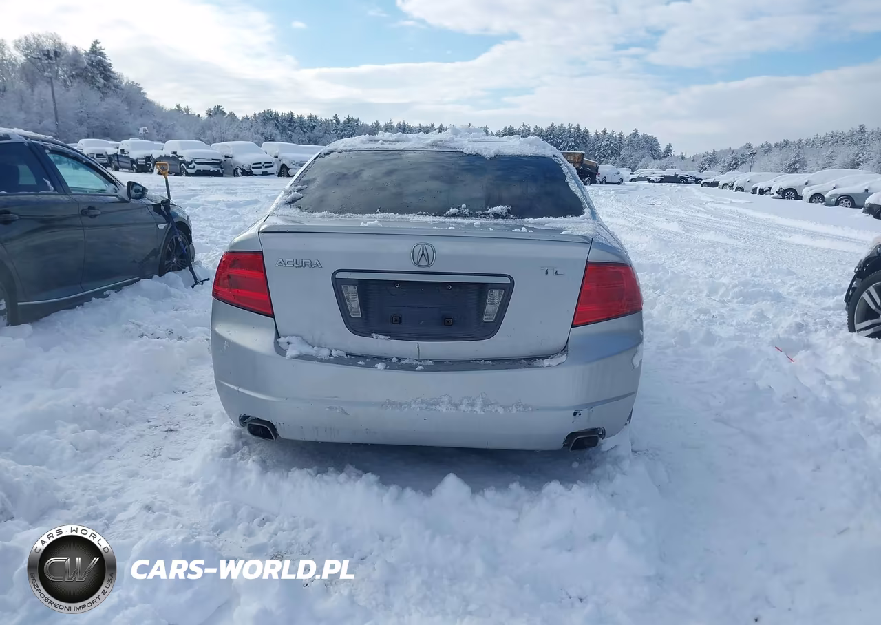 2006 Acura Tl VIN:19UUA66246A046171 - 16