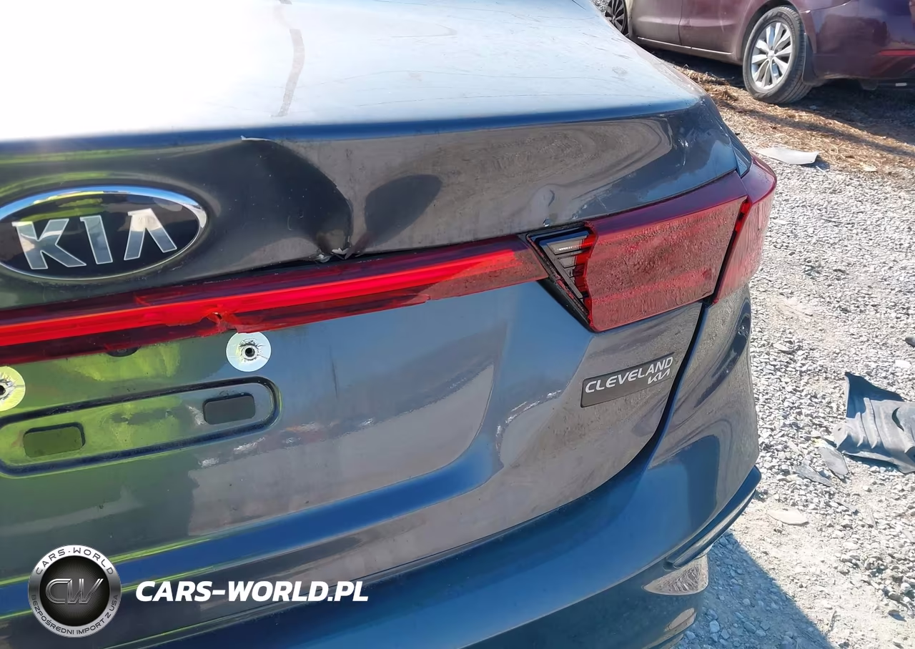 2021 Kia Forte Lxs VIN:3KPF24ADXME301689 - 19