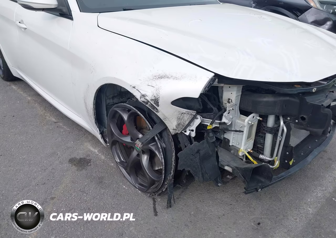 2018 Alfa Romeo Giulia Ti Sport Rwd VIN:ZARFAECNXJ7564913 - 19