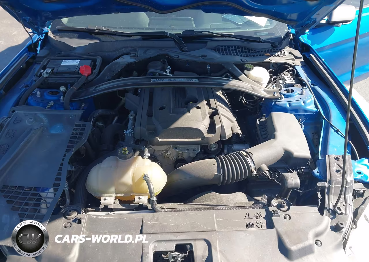 2021 Ford Mustang Ecoboost Premium VIN:1FATP8UD1M5143428 - 10