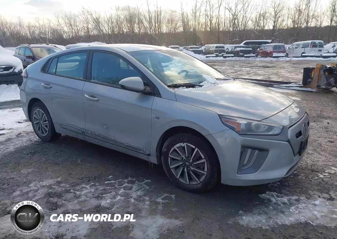 2020 Hyundai Ioniq Electric Se