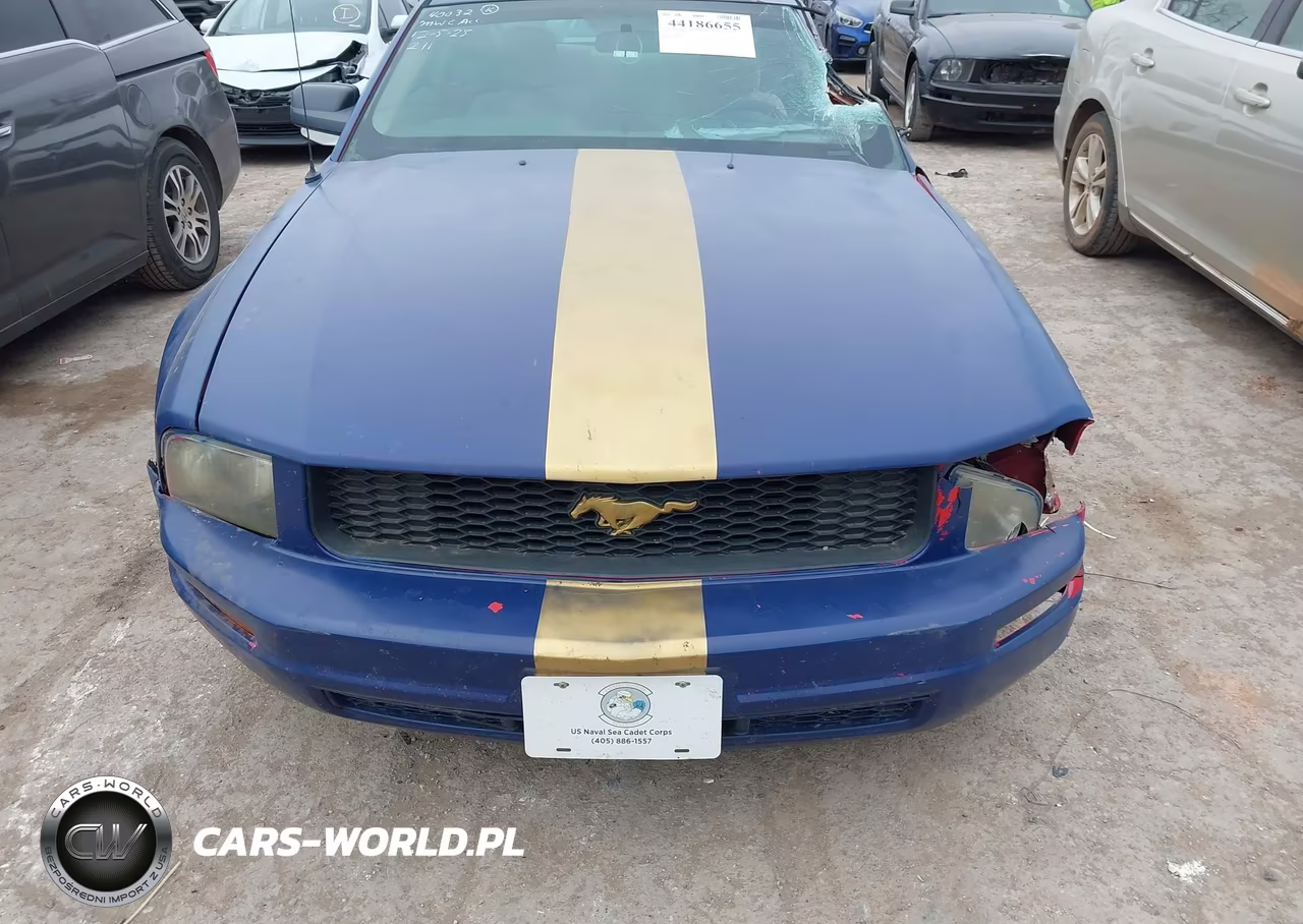 2005 Ford Mustang V6 Deluxe-V6 Premium VIN:1ZVFT80N955154743 - 12