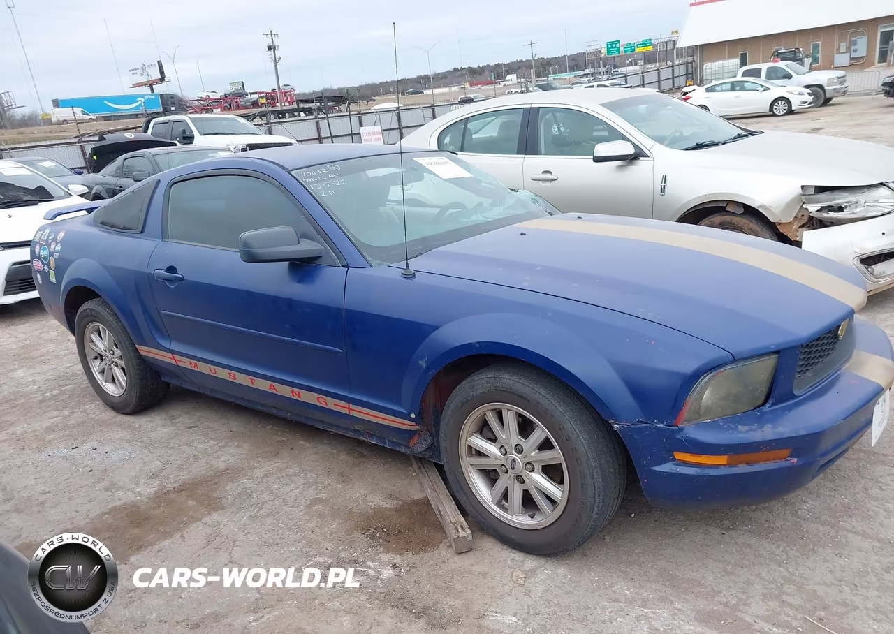 2005 Ford Mustang V6 Deluxe-V6 Premium VIN:1ZVFT80N955154743 - 13