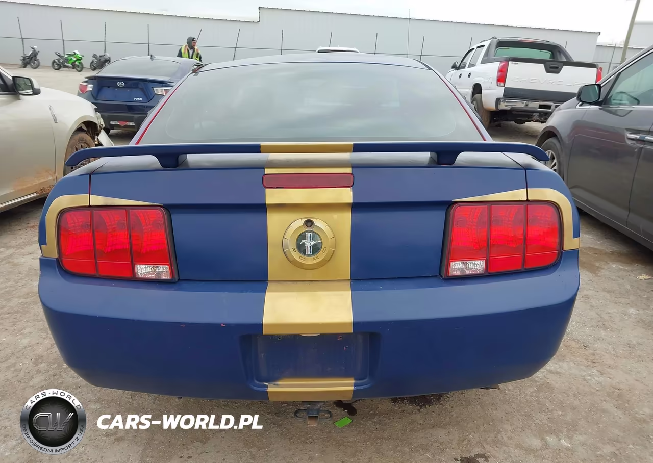 2005 Ford Mustang V6 Deluxe-V6 Premium VIN:1ZVFT80N955154743 - 16