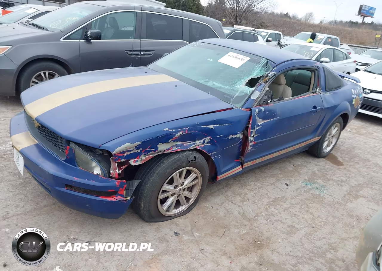 2005 Ford Mustang V6 Deluxe-V6 Premium VIN:1ZVFT80N955154743 - 2