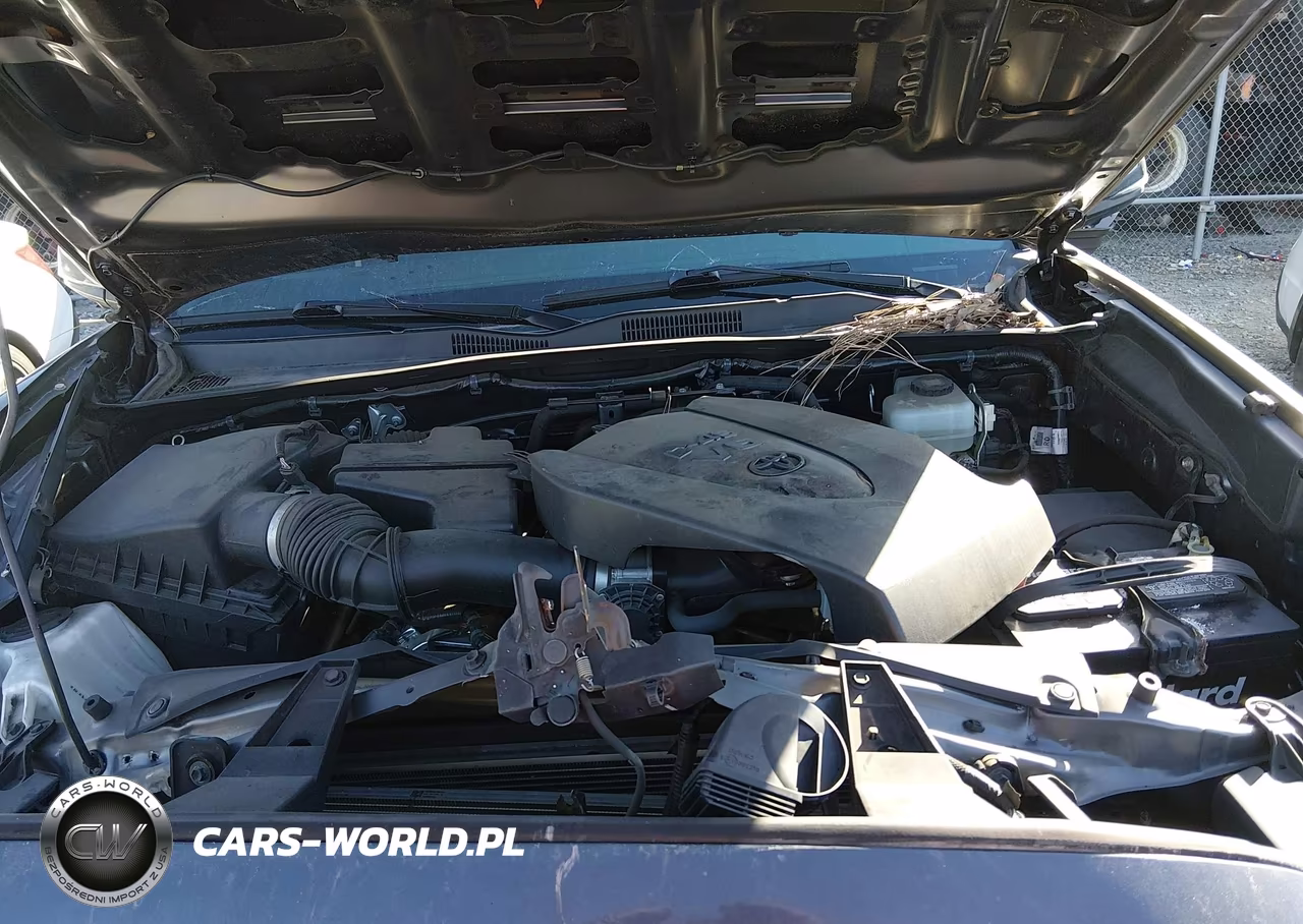 2020 Toyota Tacoma Trd Pro VIN:5TFCZ5ANXLX235253 - 10
