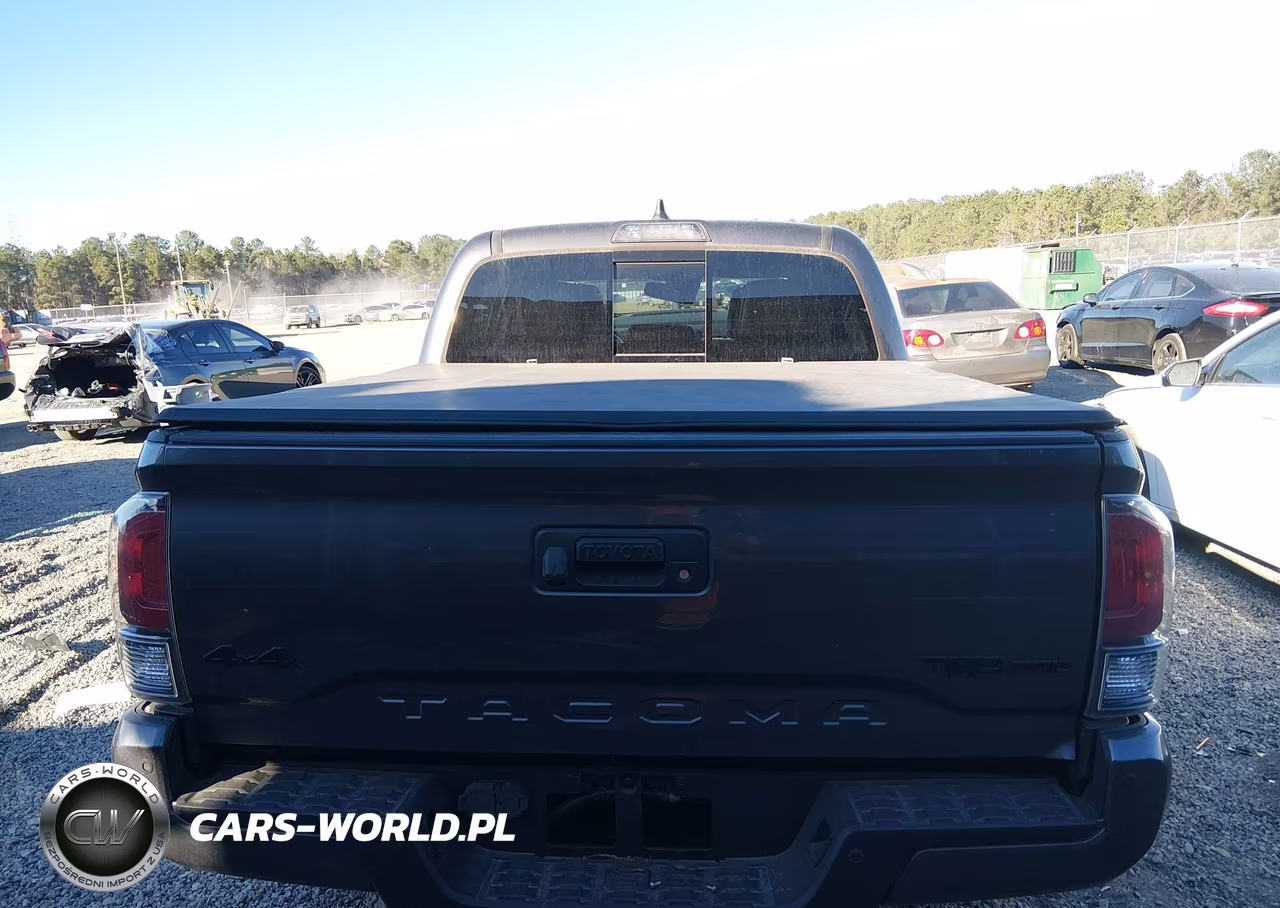 2020 Toyota Tacoma Trd Pro VIN:5TFCZ5ANXLX235253 - 16