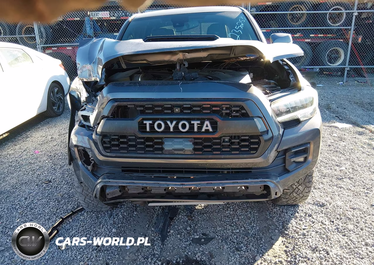 2020 Toyota Tacoma Trd Pro VIN:5TFCZ5ANXLX235253 - 6
