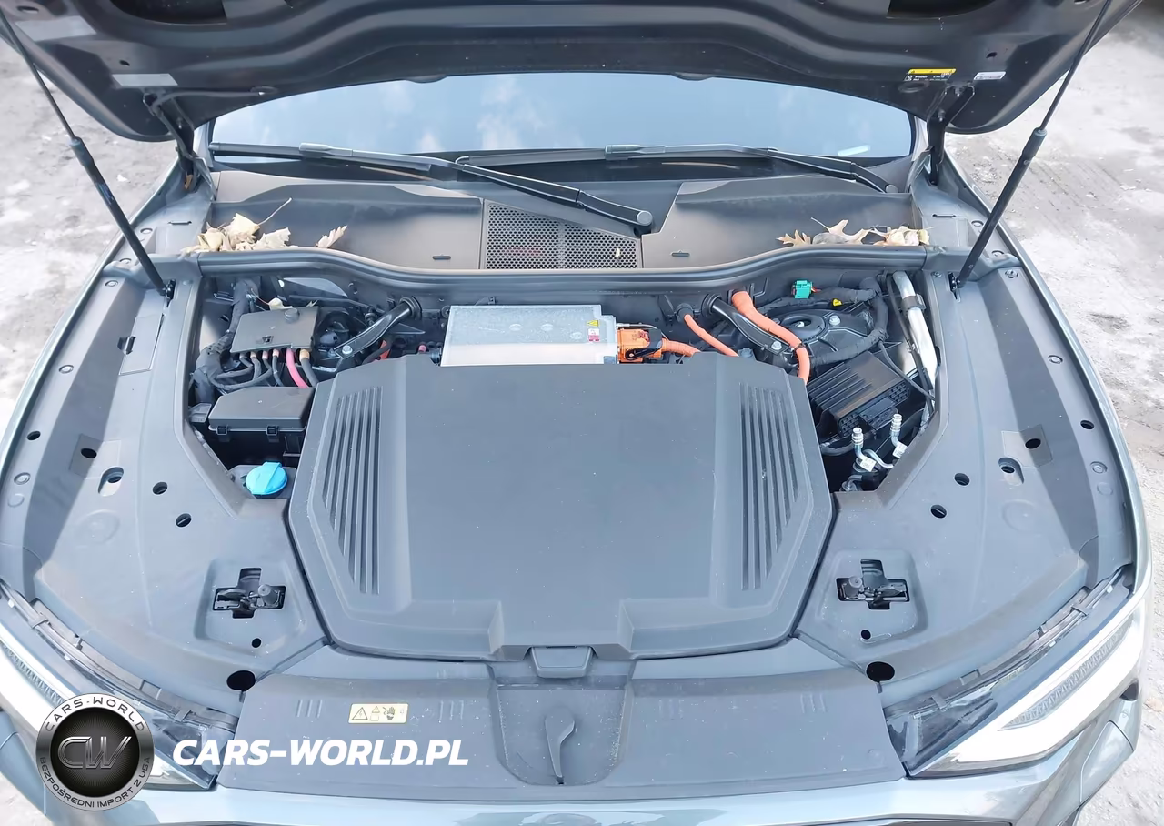 2021 Audi E-Tron Sportback Premium Plus Quattro VIN:WA12AAGE4MB027901 - 10