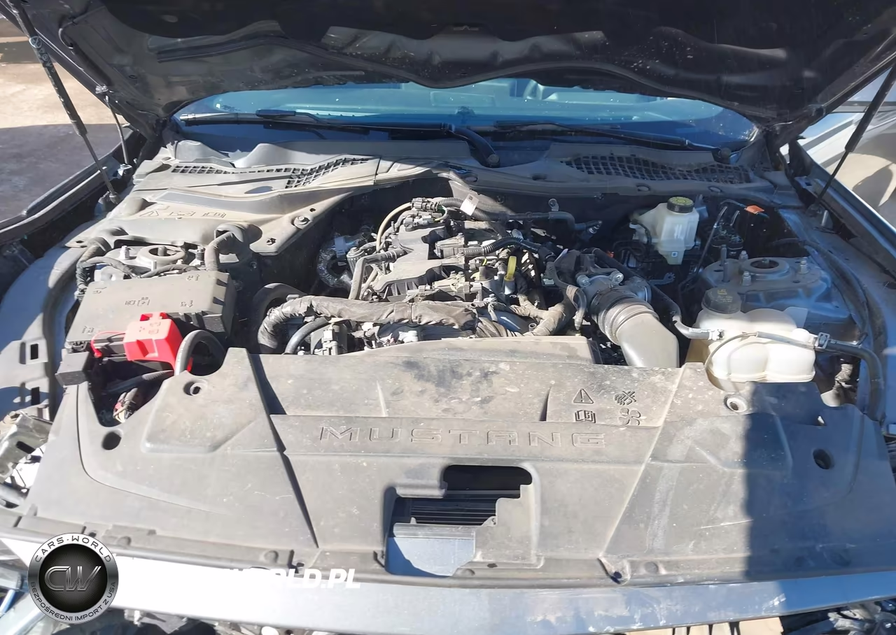 2024 Ford Mustang Ecoboost Fastback VIN:1FA6P8TH2R5107367 - 10