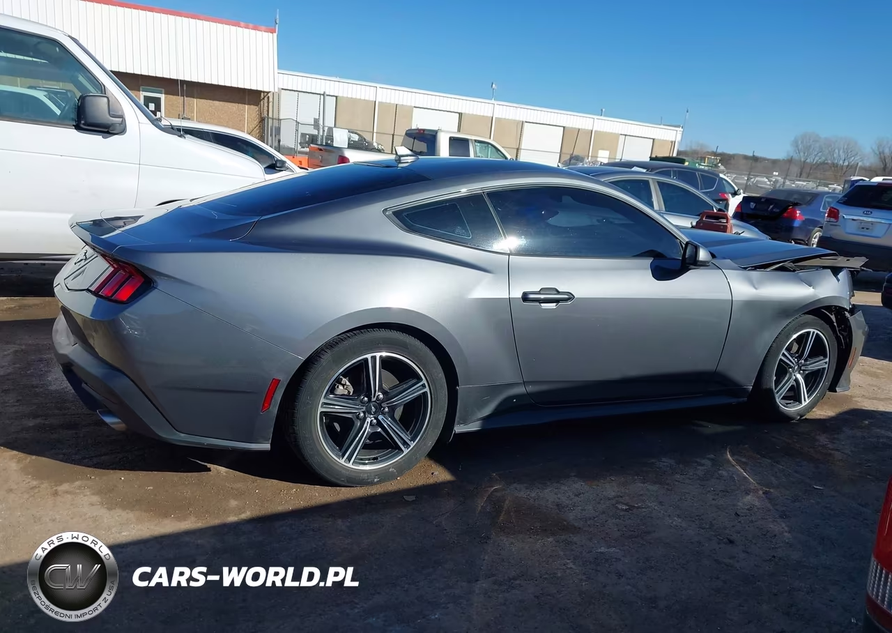 2024 Ford Mustang Ecoboost Fastback VIN:1FA6P8TH2R5107367 - 13