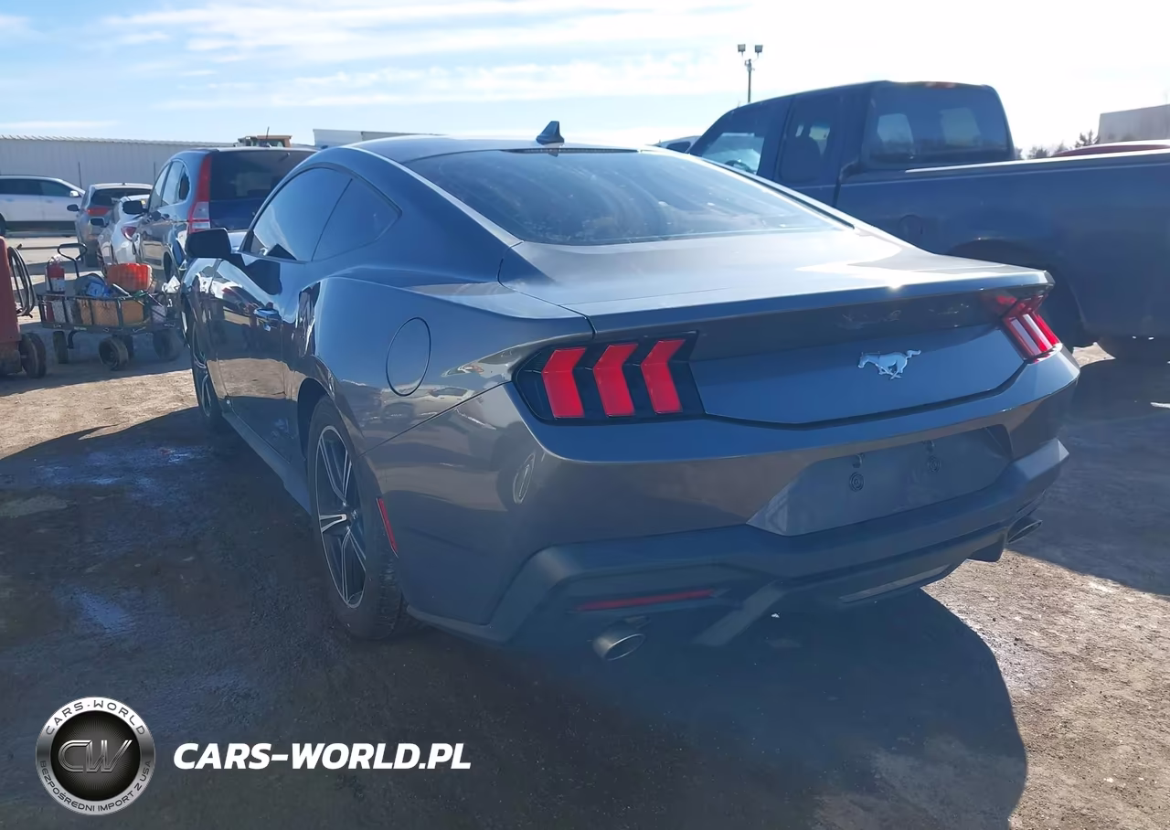 2024 Ford Mustang Ecoboost Fastback VIN:1FA6P8TH2R5107367 - 3
