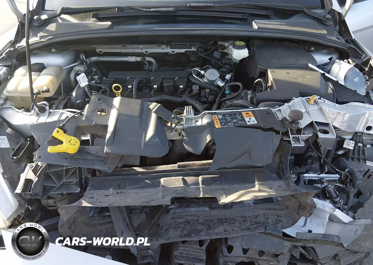 2018 Ford Focus Se VIN:1FADP3K21JL291336 - 10