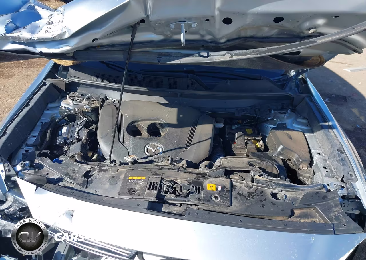 2023 Mazda Cx-9 Grand Touring VIN:JM3TCBDY5P0636706 - 10