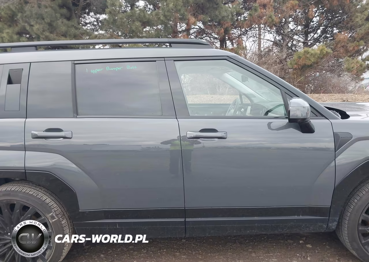 2024 Hyundai Santa Fe Calligraphy VIN:5NMP5DGL9RH053249 - 13
