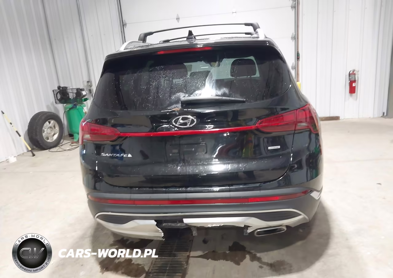 2022 Hyundai Santa Fe Sel VIN:5NMS2DAJ1NH460101 - 16