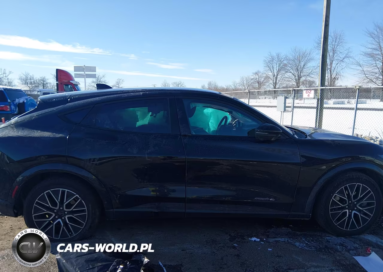 2024 Ford Mustang Mach-E Premium VIN:3FMTK3SU3RMA53712 - 12