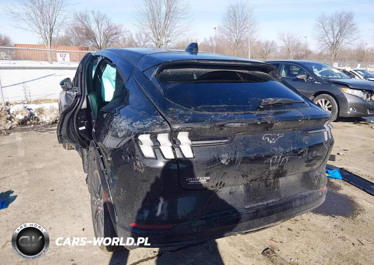 2024 Ford Mustang Mach-E Premium VIN:3FMTK3SU3RMA53712 - 3
