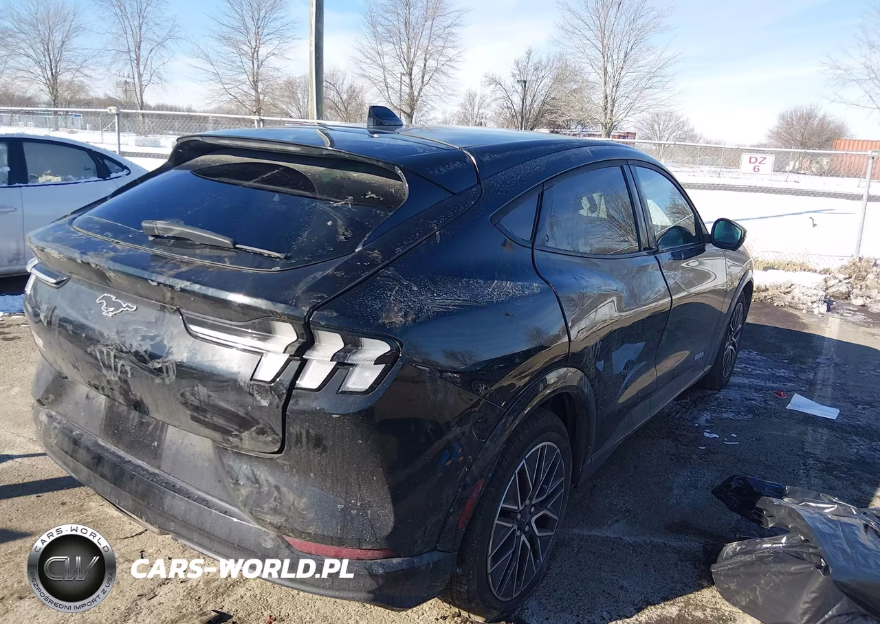 2024 Ford Mustang Mach-E Premium VIN:3FMTK3SU3RMA53712 - 4