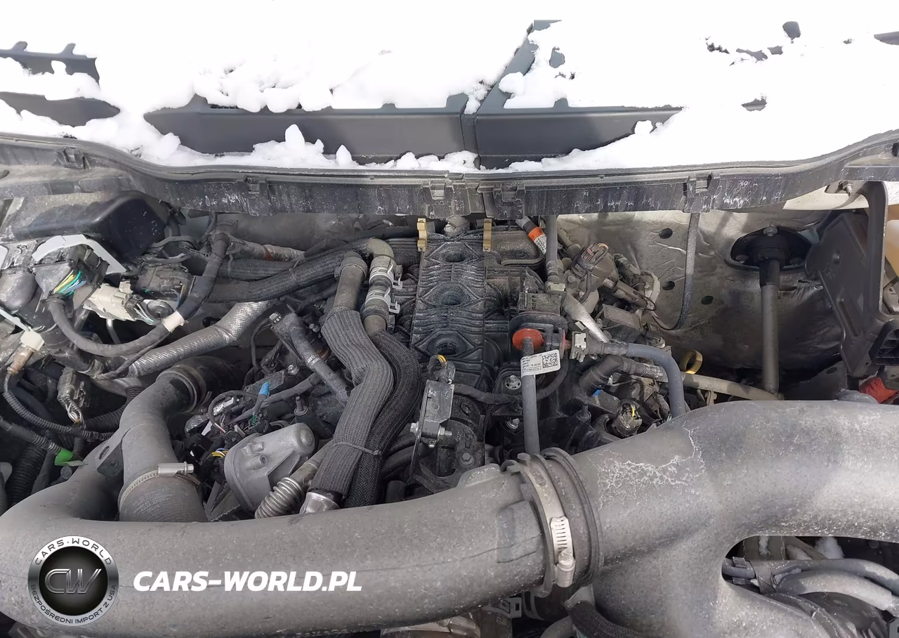 2024 Ford F-150 Xlt VIN:1FTFW3L84RKF09439 - 10