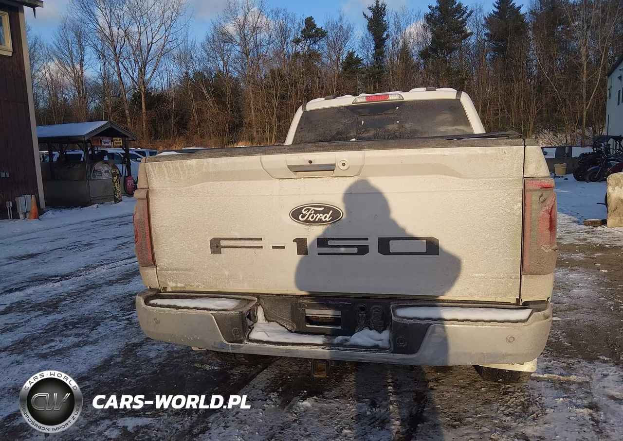 2024 Ford F-150 Xlt VIN:1FTFW3L84RKF09439 - 16