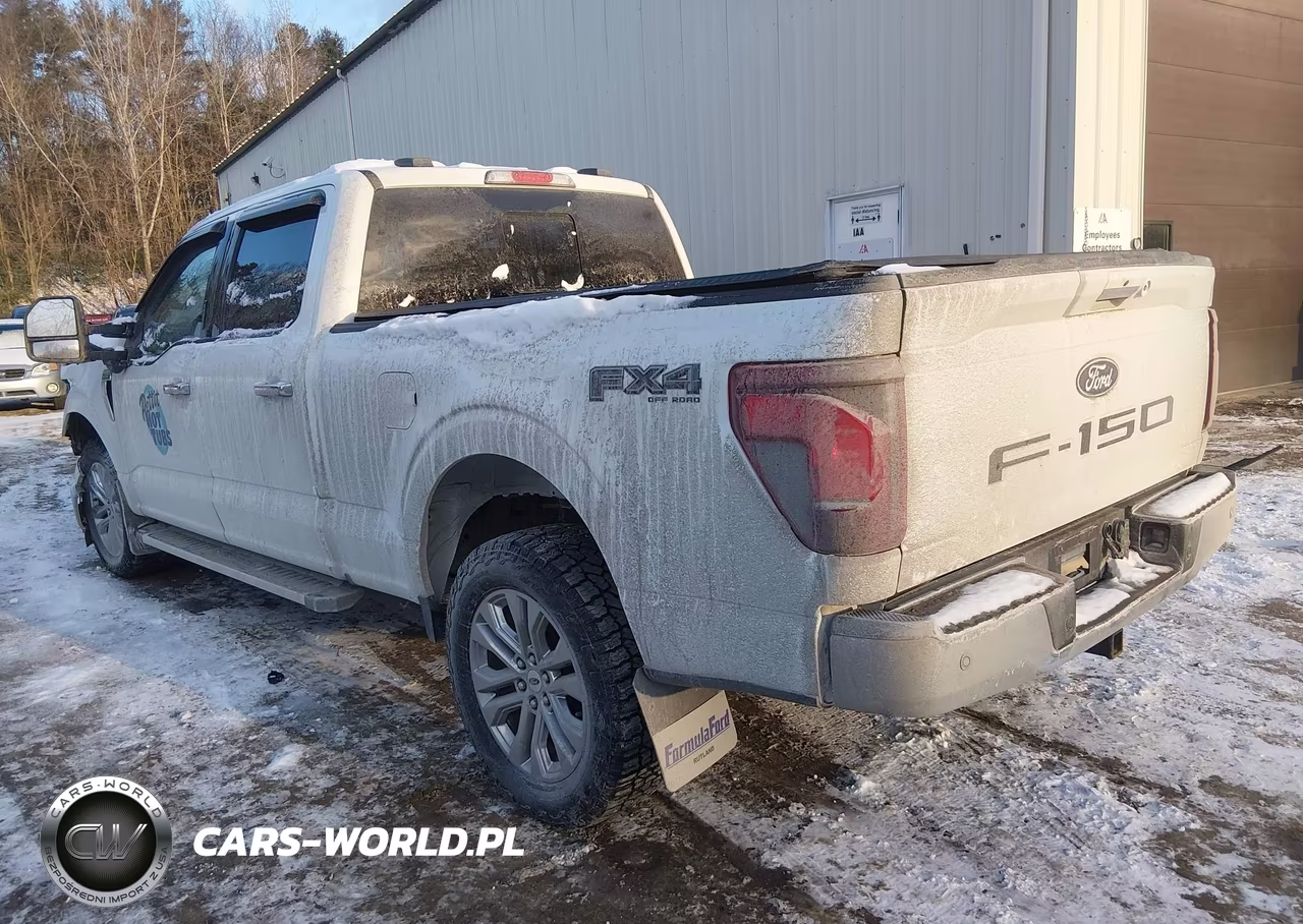 2024 Ford F-150 Xlt VIN:1FTFW3L84RKF09439 - 3
