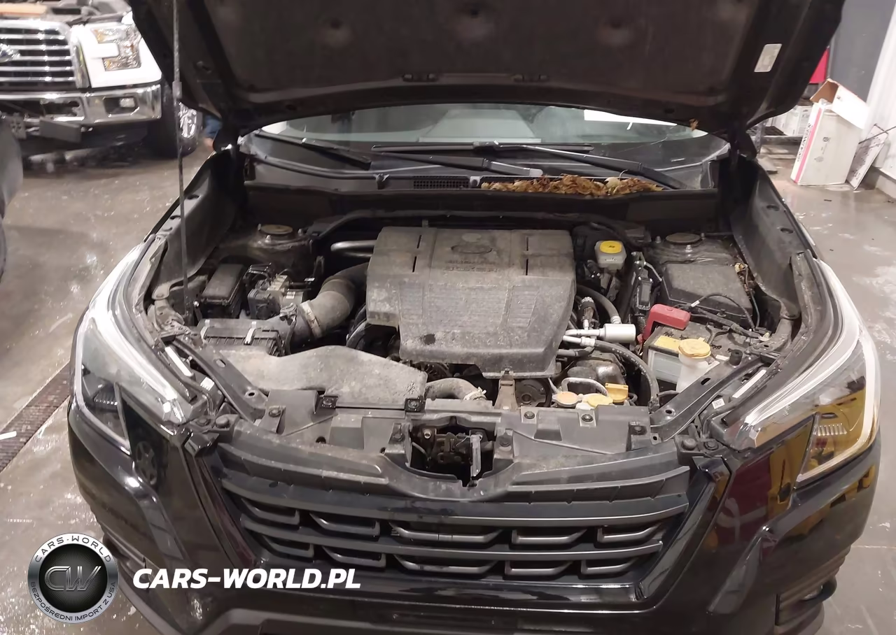 2024 Subaru Forester Limited VIN:JF2SKALC8RH468301 - 10