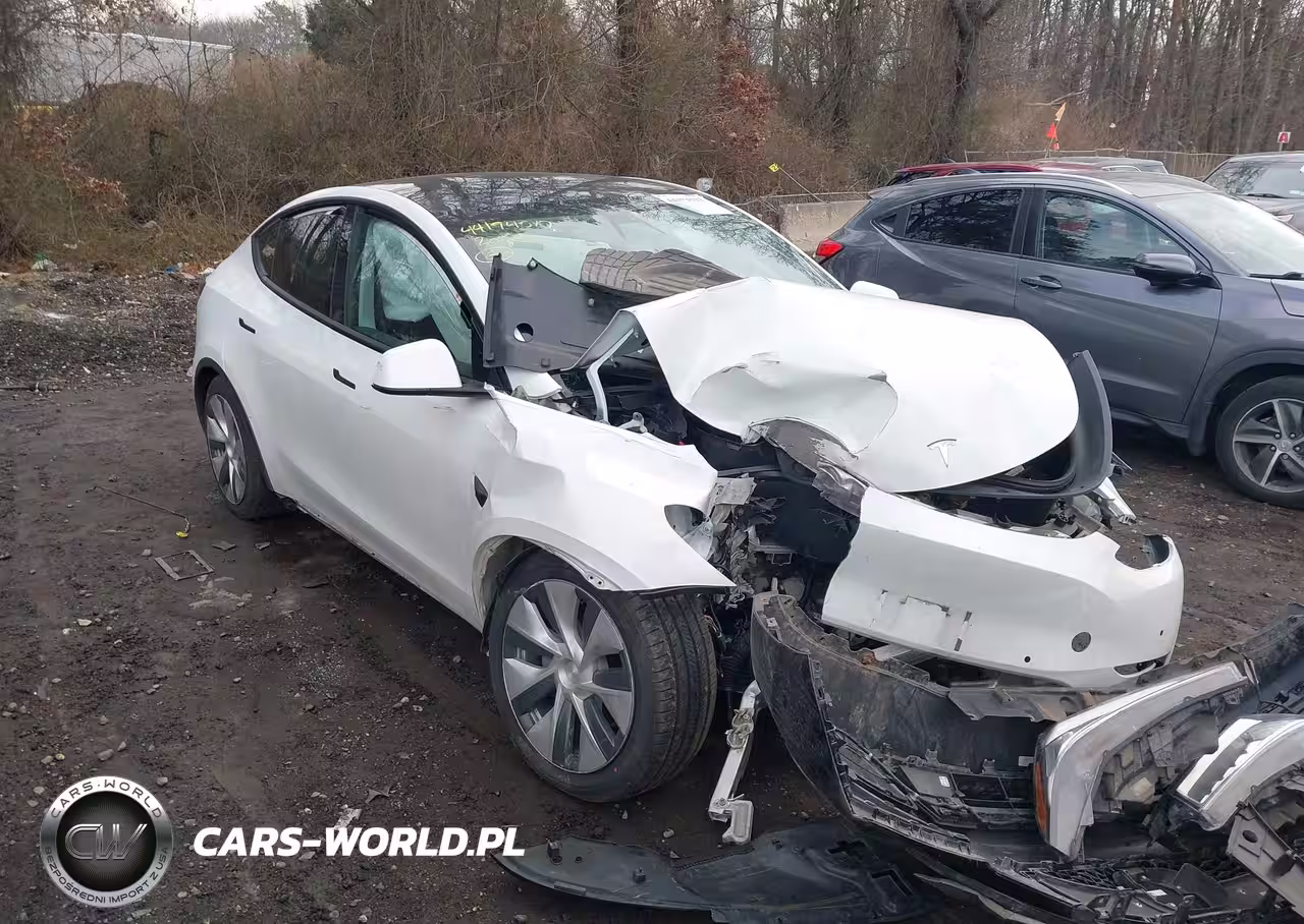 2020 Tesla Model Y Long Range Dual Motor All-Wheel Drive