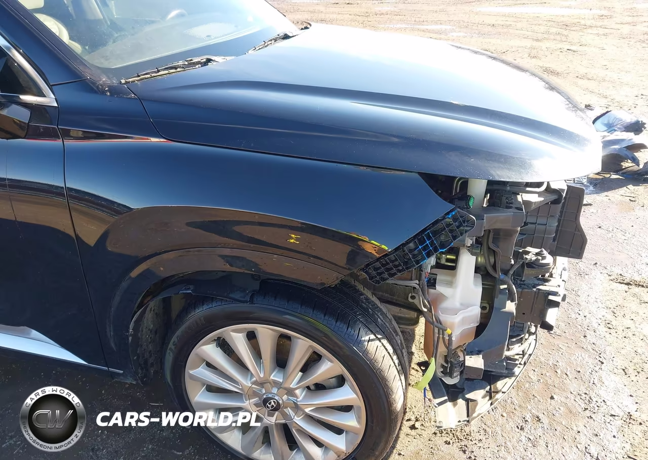 2020 Hyundai Palisade Limited VIN:KM8R54HE2LU076764 - 19