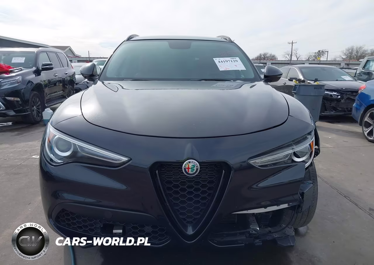 2019 Alfa Romeo Stelvio Rwd VIN:ZASPAJAN6K7C71156 - 13