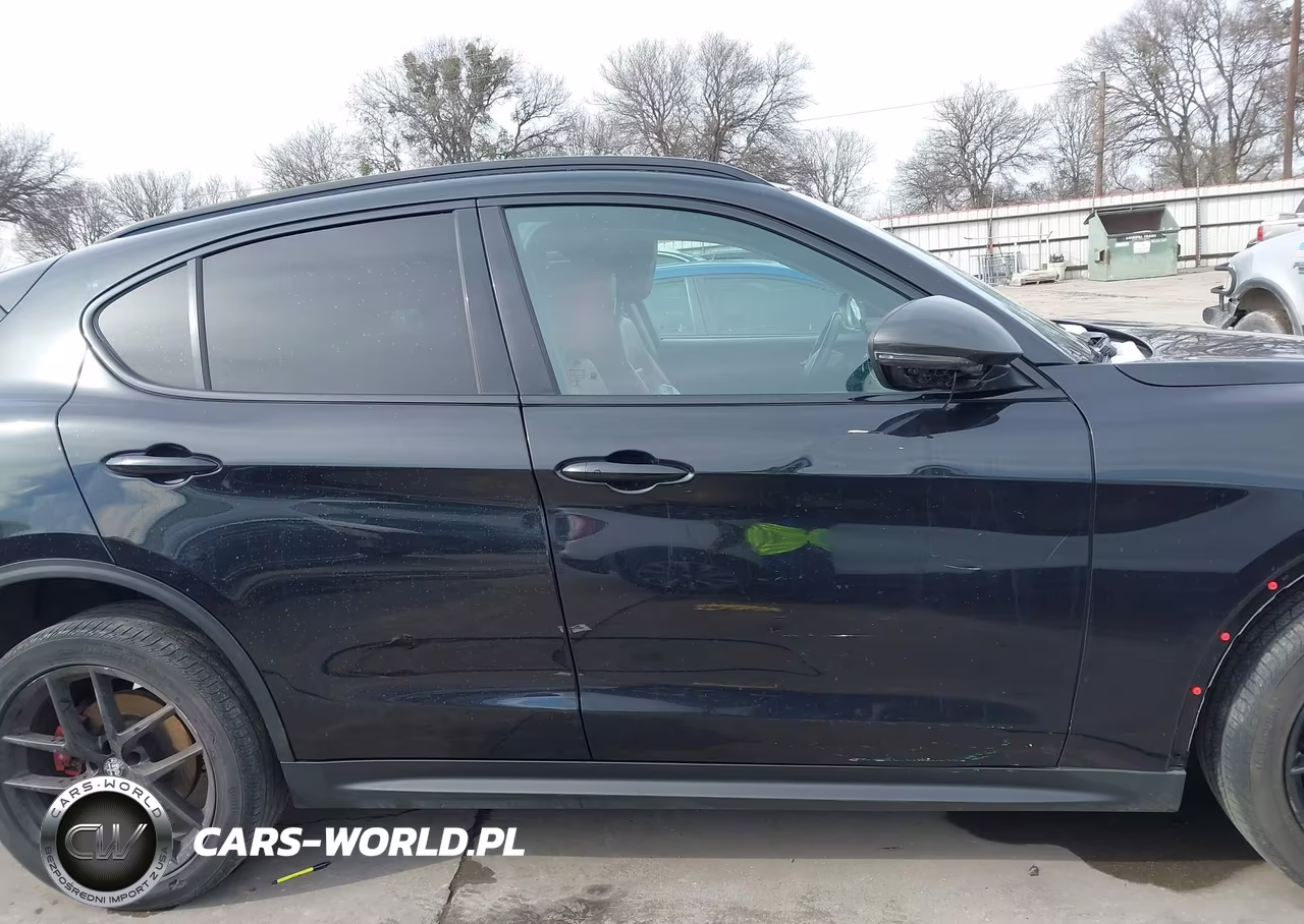 2019 Alfa Romeo Stelvio Rwd VIN:ZASPAJAN6K7C71156 - 14