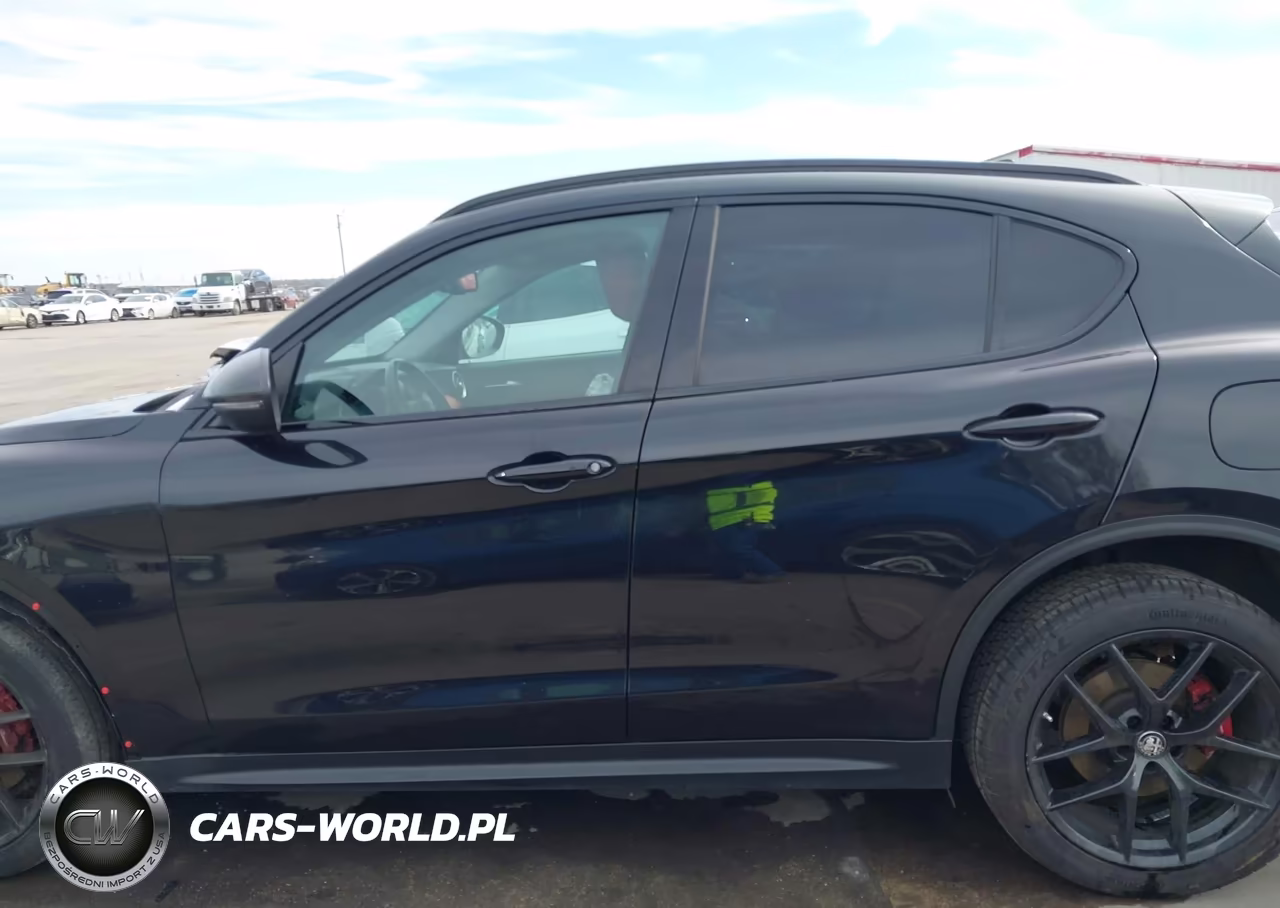 2019 Alfa Romeo Stelvio Rwd VIN:ZASPAJAN6K7C71156 - 15