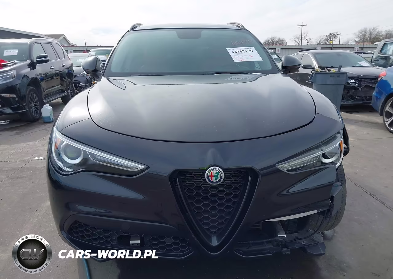 2019 Alfa Romeo Stelvio Rwd VIN:ZASPAJAN6K7C71156 - 18