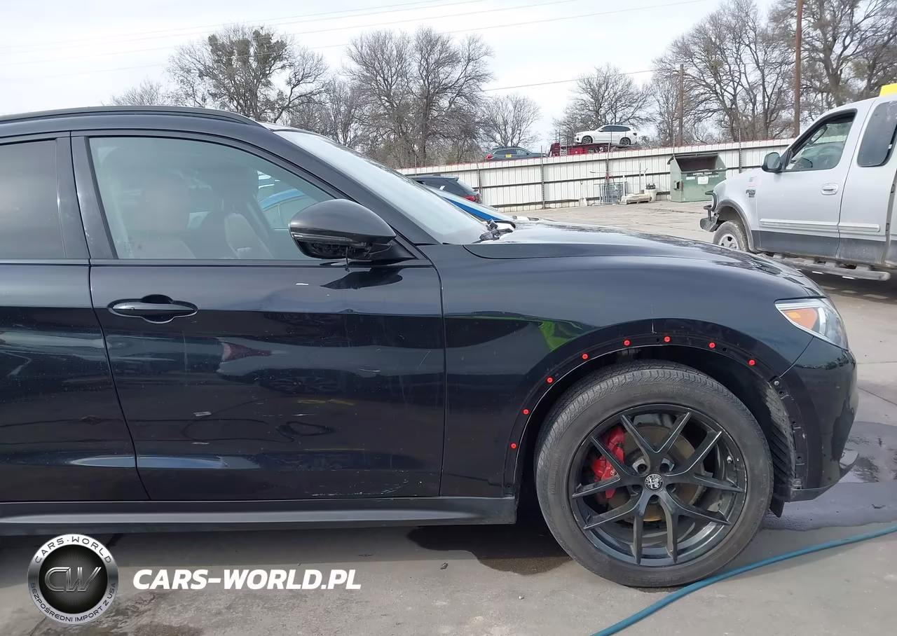 2019 Alfa Romeo Stelvio Rwd VIN:ZASPAJAN6K7C71156 - 19