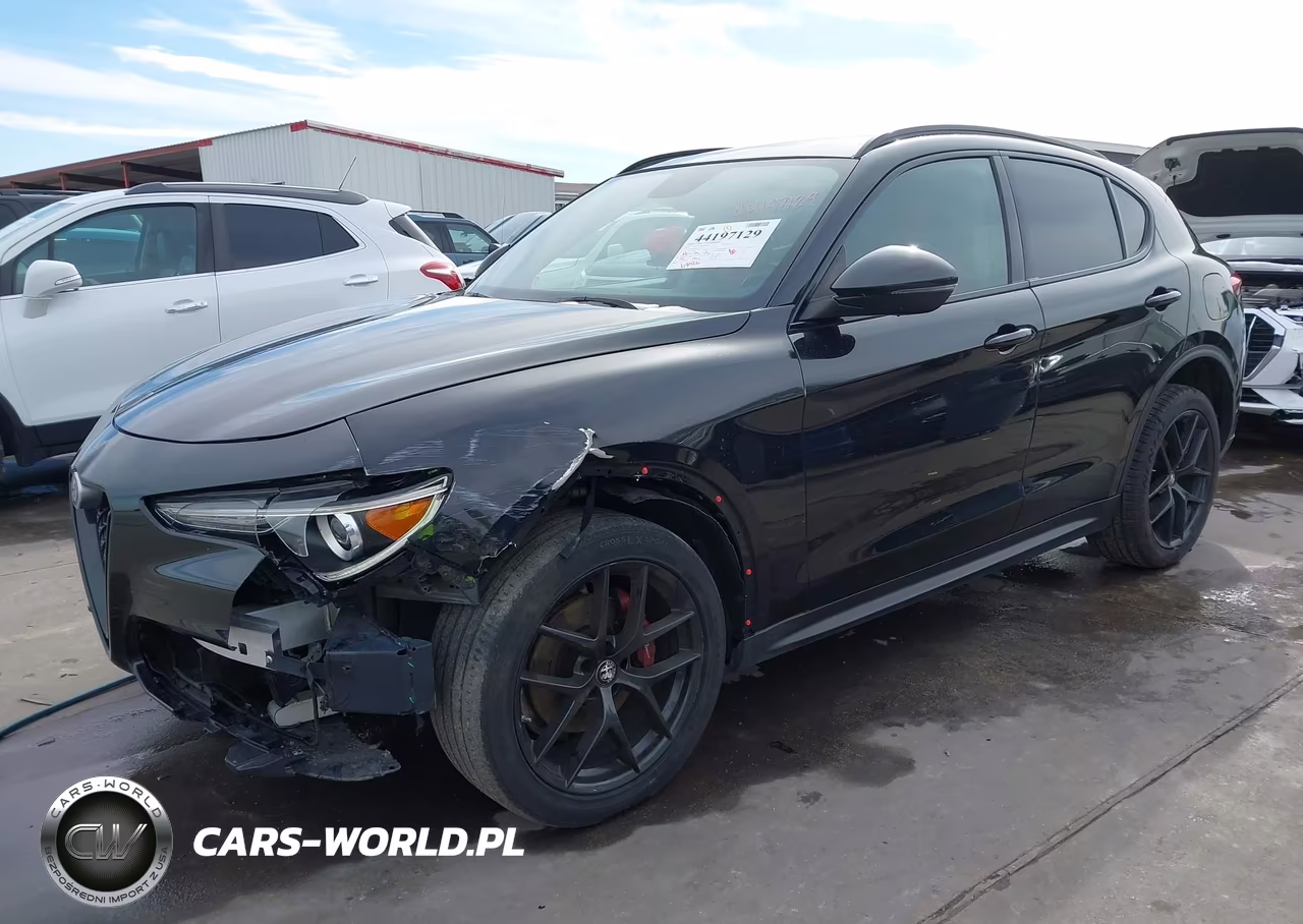 2019 Alfa Romeo Stelvio Rwd VIN:ZASPAJAN6K7C71156 - 2