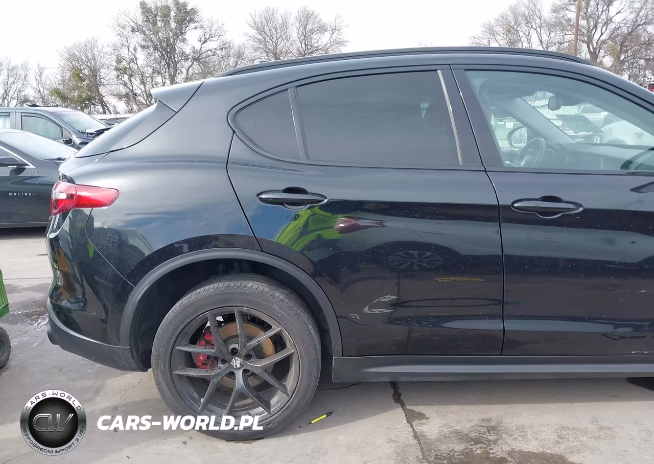 2019 Alfa Romeo Stelvio Rwd VIN:ZASPAJAN6K7C71156 - 20