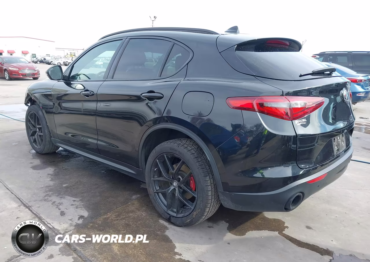 2019 Alfa Romeo Stelvio Rwd VIN:ZASPAJAN6K7C71156 - 3