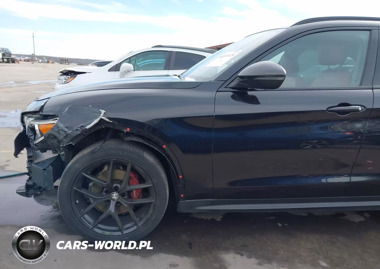 2019 Alfa Romeo Stelvio Rwd VIN:ZASPAJAN6K7C71156 - 6