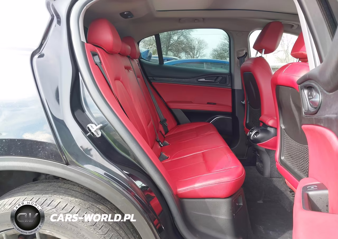 2019 Alfa Romeo Stelvio Rwd VIN:ZASPAJAN6K7C71156 - 8