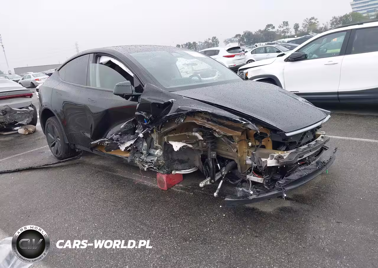 2026 Tesla Model Y Long Range Launch Series-Premium All-Wheel Drive