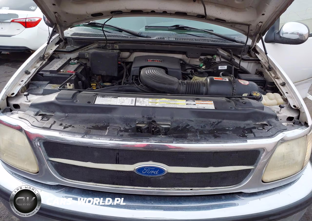 1997 Ford F-150 Lariat-Xl-Xlt VIN:1FTEX17L9VKC12866 - 10